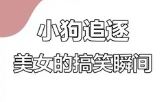 丝网花图片欣赏